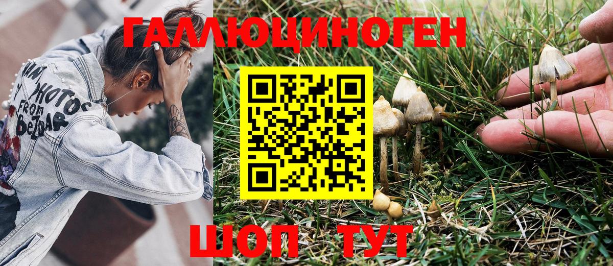 Северодвинск  купить наркотики сайты  Вход с VPN  Галлюциногенные грибы Cubensis 