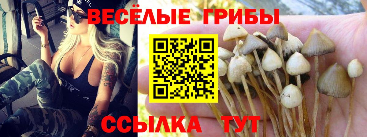 Галлюциногенные грибы мухоморы Северодвинск